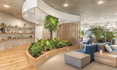 Indoor Office Garden
