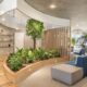 Sydney Offices: Why Your Company Needs a Plant Expert to Maintain Indoor Office Garden Indoor Office Garden